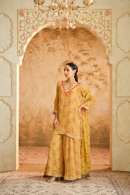 Raag floral  Sharara set