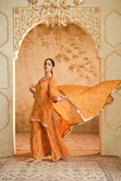 Raag floral  Sharara set
