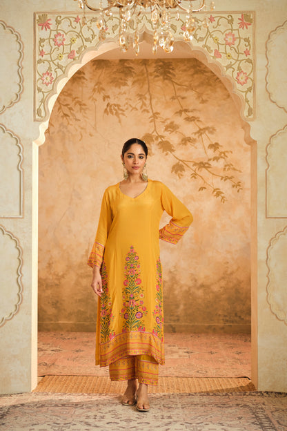 Raag placement kurta set
