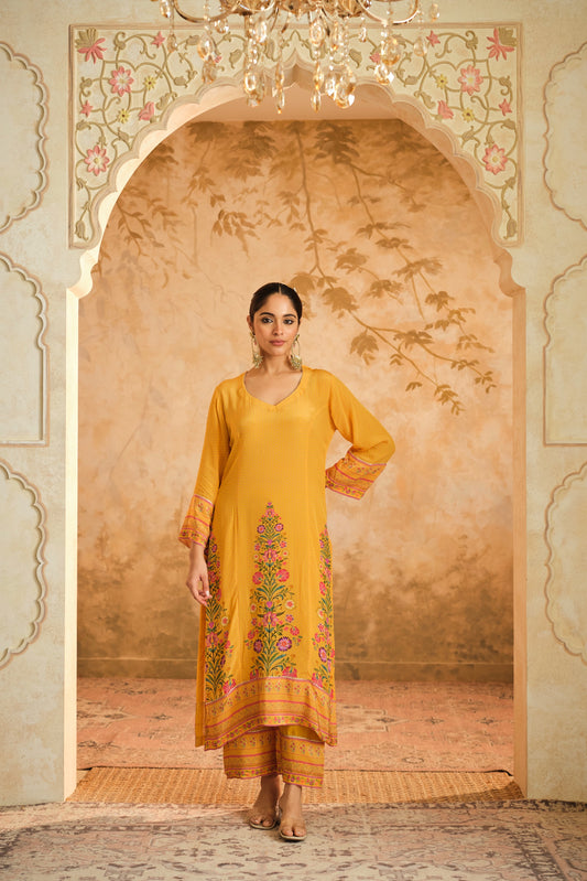 Raag placement kurta set