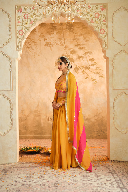 Raag Solid Lehenga Set